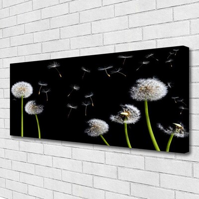 Canvas Kunstdruck Pusteblumen Pflanzen