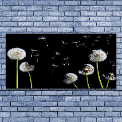 Canvas Kunstdruck Pusteblumen Pflanzen