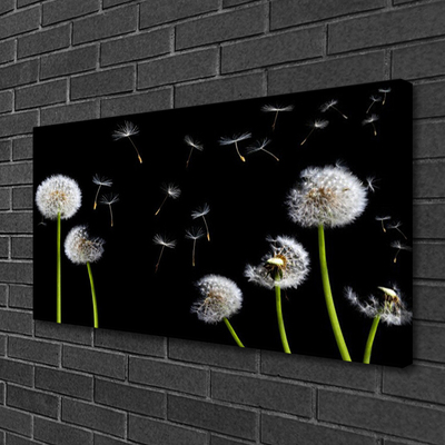 Canvas Kunstdruck Pusteblumen Pflanzen