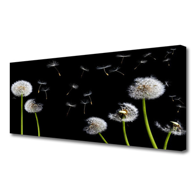 Canvas Kunstdruck Pusteblumen Pflanzen