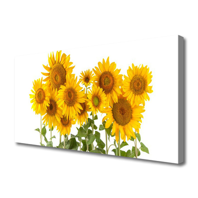 Canvas Kunstdruck Sonnenblumen Pflanzen