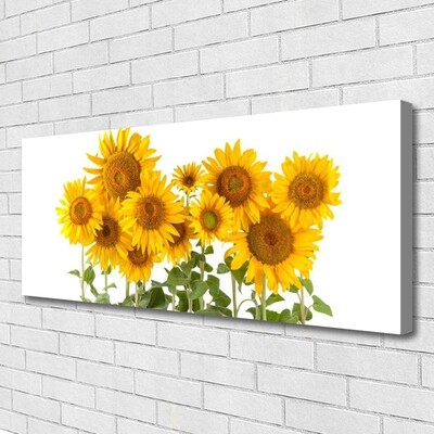 Canvas Kunstdruck Sonnenblumen Pflanzen