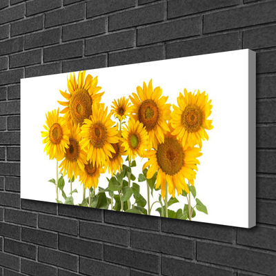 Canvas Kunstdruck Sonnenblumen Pflanzen