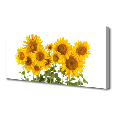 Canvas Kunstdruck Sonnenblumen Pflanzen