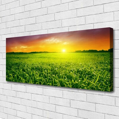 Canvas Kunstdruck Getreidefeld Sonnenaufgang Pflanzen