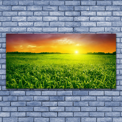 Canvas Kunstdruck Getreidefeld Sonnenaufgang Pflanzen