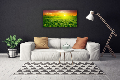 Canvas Kunstdruck Getreidefeld Sonnenaufgang Pflanzen