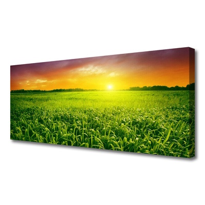 Canvas Kunstdruck Getreidefeld Sonnenaufgang Pflanzen