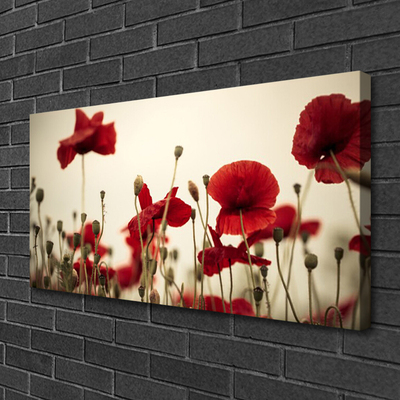 Canvas Kunstdruck Mohnblumen Pflanzen