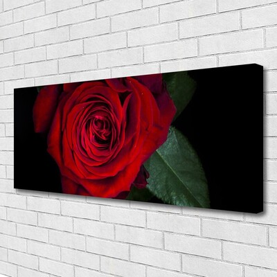 Canvas Kunstdruck Rose Pflanzen