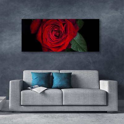 Canvas Kunstdruck Rose Pflanzen