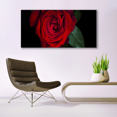 Canvas Kunstdruck Rose Pflanzen