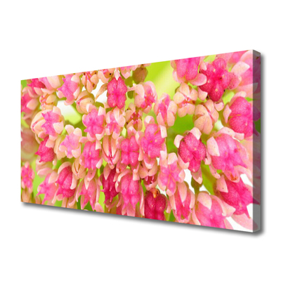 Canvas Kunstdruck Blüten Blumen Pflanzen