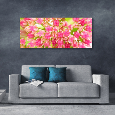 Canvas Kunstdruck Blüten Blumen Pflanzen