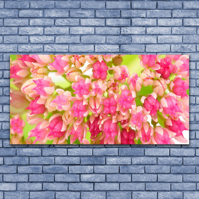 Canvas Kunstdruck Blüten Blumen Pflanzen