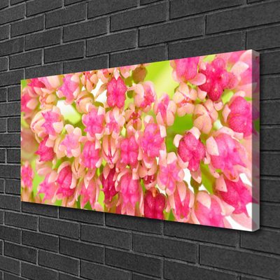 Canvas Kunstdruck Blüten Blumen Pflanzen