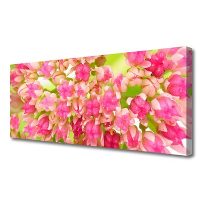 Canvas Kunstdruck Blüten Blumen Pflanzen