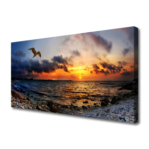 Canvas Kunstdruck Möwe Meer Strand Landschaft