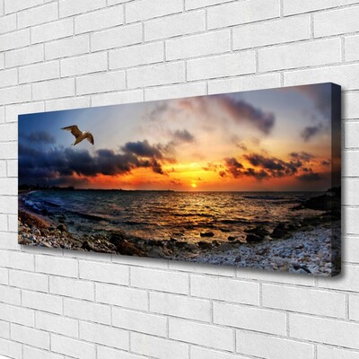 Canvas Kunstdruck Möwe Meer Strand Landschaft