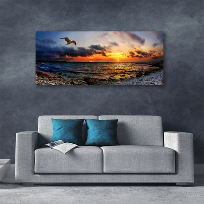 Canvas Kunstdruck Möwe Meer Strand Landschaft