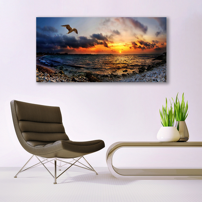 Canvas Kunstdruck Möwe Meer Strand Landschaft