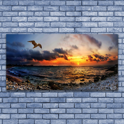 Canvas Kunstdruck Möwe Meer Strand Landschaft