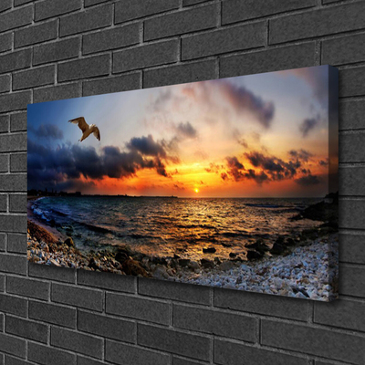 Canvas Kunstdruck Möwe Meer Strand Landschaft