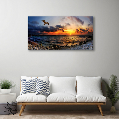 Canvas Kunstdruck Möwe Meer Strand Landschaft