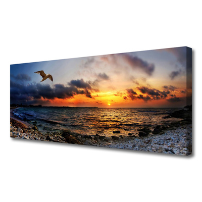 Canvas Kunstdruck Möwe Meer Strand Landschaft