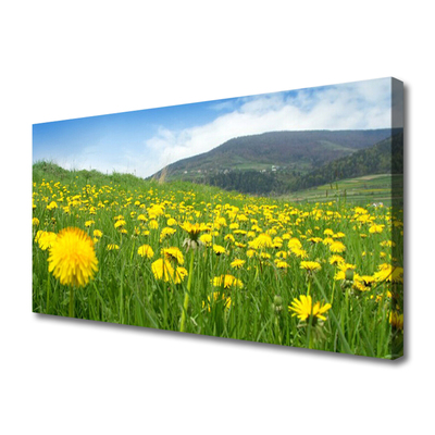 Canvas Kunstdruck Löwenzahn Feld Natur