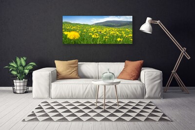 Canvas Kunstdruck Löwenzahn Feld Natur