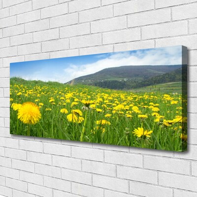 Canvas Kunstdruck Löwenzahn Feld Natur