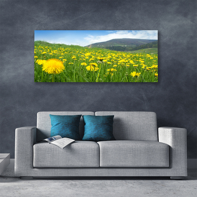 Canvas Kunstdruck Löwenzahn Feld Natur