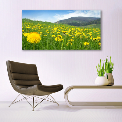 Canvas Kunstdruck Löwenzahn Feld Natur