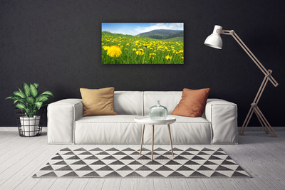 Canvas Kunstdruck Löwenzahn Feld Natur