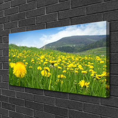 Canvas Kunstdruck Löwenzahn Feld Natur