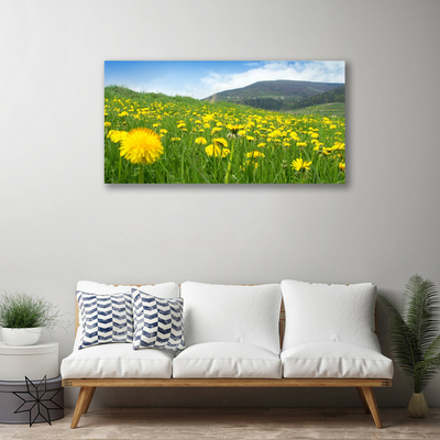 Canvas Kunstdruck Löwenzahn Feld Natur