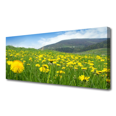 Canvas Kunstdruck Löwenzahn Feld Natur