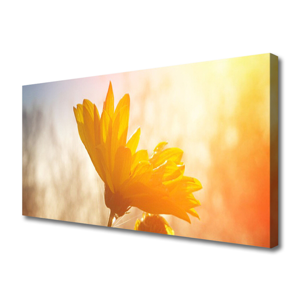 Canvas Kunstdruck Sonnenblume Pflanzen