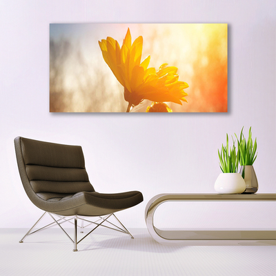 Canvas Kunstdruck Sonnenblume Pflanzen