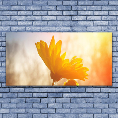 Canvas Kunstdruck Sonnenblume Pflanzen