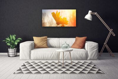 Canvas Kunstdruck Sonnenblume Pflanzen