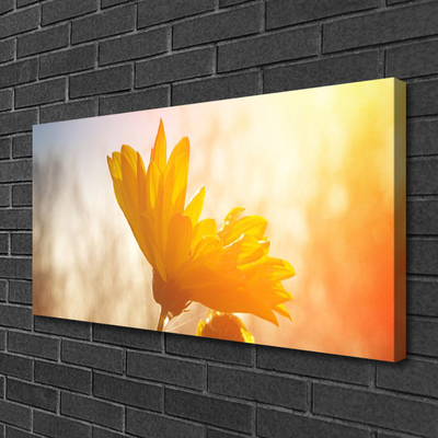 Canvas Kunstdruck Sonnenblume Pflanzen