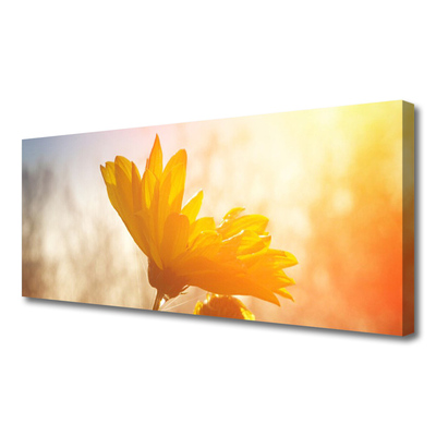 Canvas Kunstdruck Sonnenblume Pflanzen