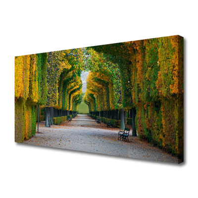 Canvas Kunstdruck Park Herbst Garten Natur