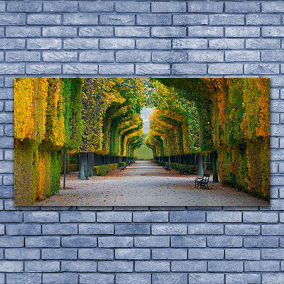 Canvas Kunstdruck Park Herbst Garten Natur