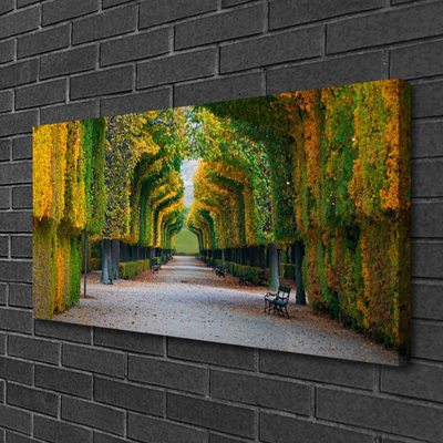 Canvas Kunstdruck Park Herbst Garten Natur