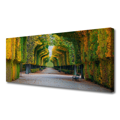 Canvas Kunstdruck Park Herbst Garten Natur