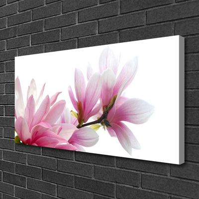 Canvas Kunstdruck Magnolienblüten Pflanzen