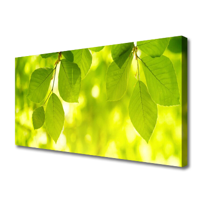 Canvas Kunstdruck Blätter Pflanzen